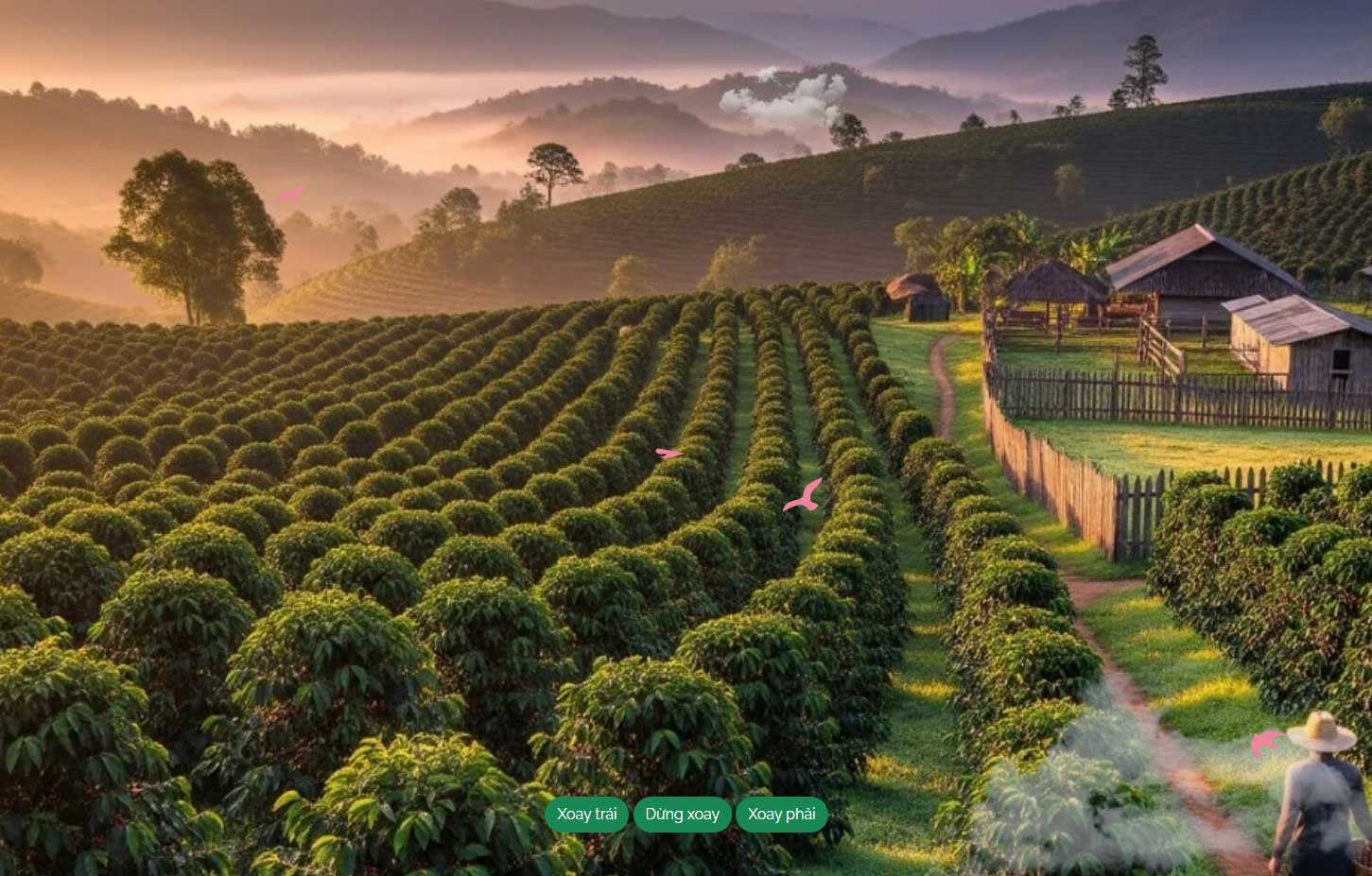 Accounting service dashboard